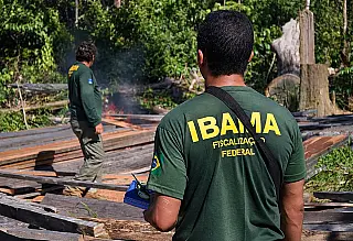 Desmatamento cai 41,8% na Amazônia e 23,8% no Cerrado