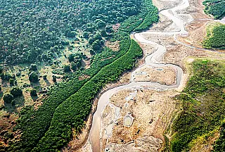 Desmatamento reduz 74% das chuvas e aumenta em 16% a temperatura na Amazônia