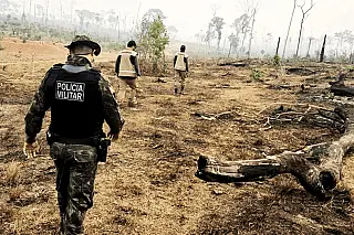 Mato Grosso, Pará e Tocantins concentram 56% da área queimada no Brasil