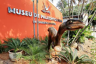 Cruzeiro do Oeste é berçário de pterossauros