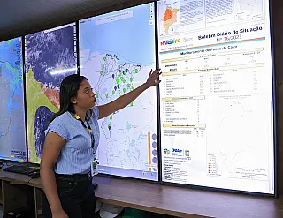 Brasil reduz em 42% perdas florestais, mas ainda é responsável por 37% da devastação global