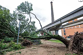 Temporal provoca danos em 19 cidades do Rio Grande do Sul