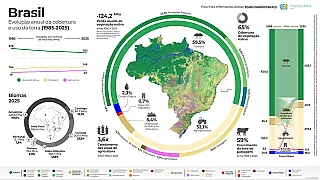 Vegetação nativa 65% X 32% agropecuária