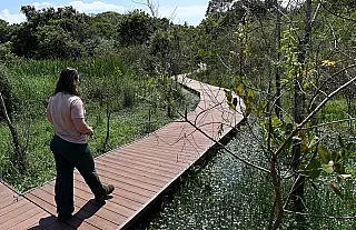 Campinas pagará até R$ 25,6 mil por ano a proprietários que preservarem mata nativa