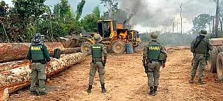 Desmatamento em queda na Amazônia e Cerrado acende uma chama de esperança