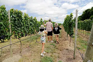 Um bom vinho, além da chapada...