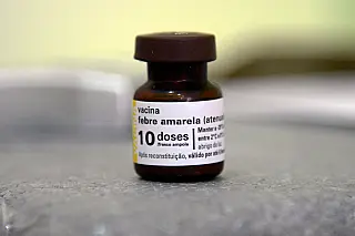Vacina contra febre amarela é exigida em 120 países