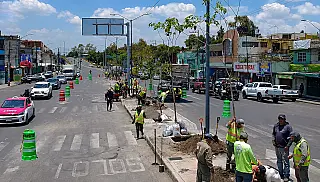Cidade do México plantará 1 milhão de árvores para combater o calor
