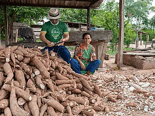 Cruzeiro do Sul, no Acre, é a Capital Nacional da Farinha de Mandioca